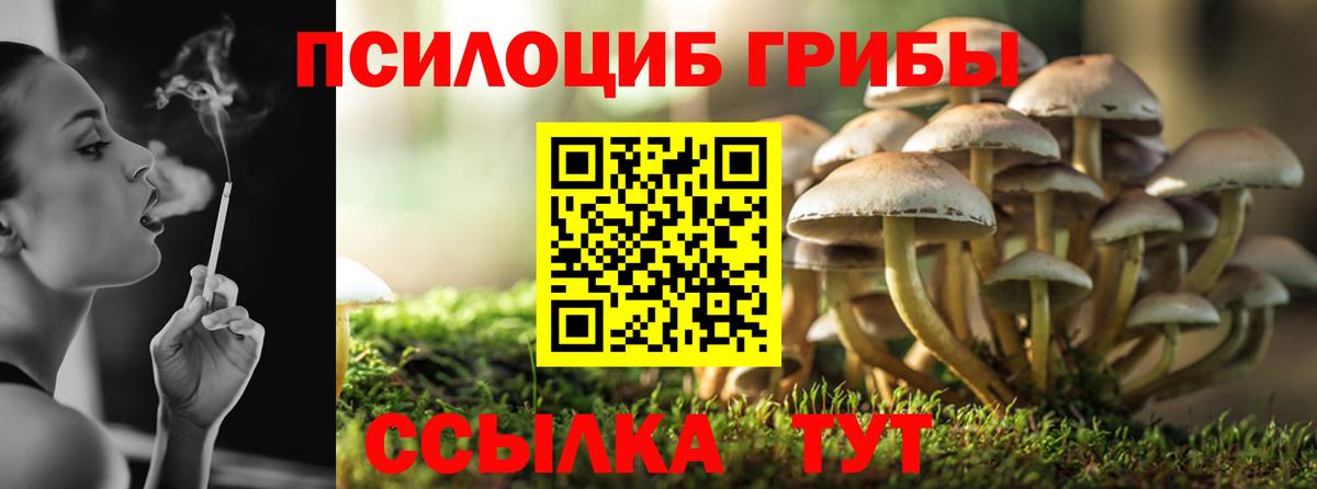 Псилоцибиновые грибы ЛСД Ивантеевка